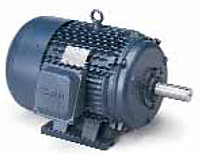 Leeson Cast Iron Three Phase Totally Enclosed Fan Cooled (TEFC) Motors